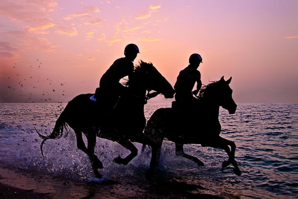 Anantara Sir Bani Yas Island Al Sahel Villas Zahr Экстерьер фото